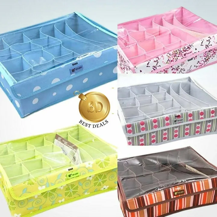 Undergarment Organizer