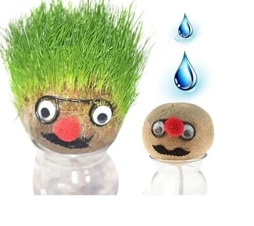 Grass Growing Head Planter – Funny Face Grass Hair Grow Kit for Home & Desk Decor